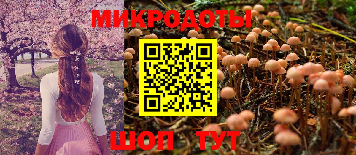 Псилоцибиновые грибы Cubensis  Вход с VPN  Галлюциногенные грибы MAGIC MUSHROOMS  Евпатория 